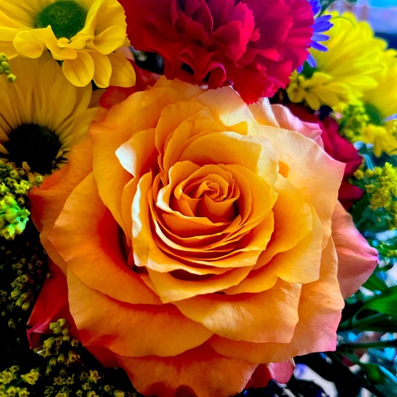 Meet your Posher, A Little Bit Extra!! - Picture 10 of 16